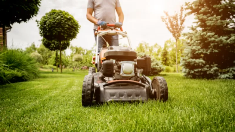 lawn-mower